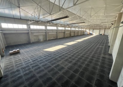 hala na wynajem - Babice