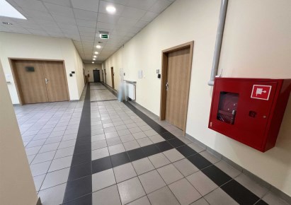 lokal na wynajem - Wielka Wieś, Modlnica